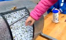 Ecco i numeri vincenti della  lotteria Avis di Sala Baganza