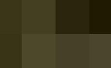 I vigili urbani operativi sulle 24 ore? Nelle province vicine