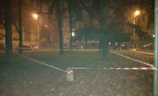 Bocconi sospetti anche al parco di via Micheli