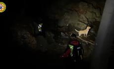 Fungaiola non si era presenta all'appuntamento col marito a Prato Spilla: ritrovata morta questa mattina - Video