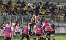 "Zebre Parma": ecco il nuovo nome che porta nel mondo il legame con la città