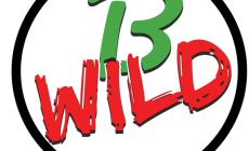 B-Wild