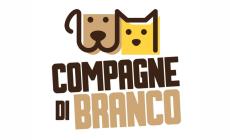 Compagne di branco: Pianeta cuccioli