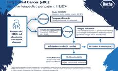 Due nuove molecole per la cura del tumore al seno HER2+ in fase precoce