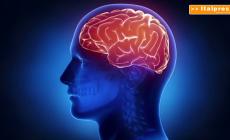 Il cervello viaggia veloce anche a 60 anni