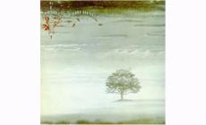 “Wind&Wuthering”, l'autunno dei Genesis