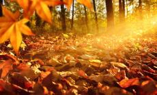 Onu, nuovo record di gas serra; siamo fuori strada 