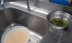  Gravi carenze igienico sanitarie e mancanza di green pass: sospensa l'attività di un ristorante etnico - Foto