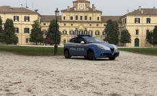 Parco Ducale, il fiuto del cane Jago permette di scovare hashish e marijuana nei cespugli
