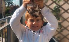 Edoardo trova il porcino da record: pesa 1,5 kg