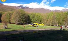 Quattro ragazzi bloccati sul Cusna da cani da pastore: "salvati" dal Soccorso alpino