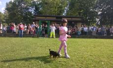 I cani e la sicurezza dei bambini. L'importanza dell'educazione