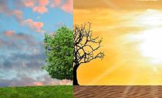  Cambiamenti climatici: nessun paese si salva da solo 