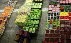 «Logistica solidale»: prodotti freschi per chi è in difficoltà