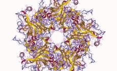 Con il vaccino anti-papillomavirus -87% di casi di tumore al collo dell'utero