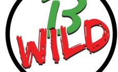 B-Wild