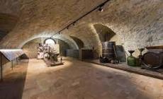 Un libro sulla Malvasia di Parma