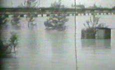 Le immagini di allora raccontano la grande piena del Po del 1951 - Video