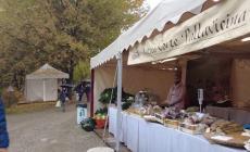 November Porc, bilancio positivo per la tappa di Polesine - Video