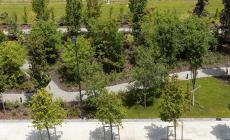 KilometroVerdeParma: alleanza educativa con Giocampus Green