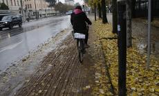 Pista ciclabile via Gramsci: le foglie bagnate la rendono pericolosissima - Fotogallery