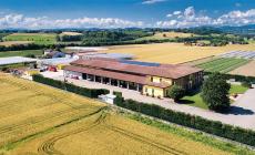 La giapponese Mitsui acquisisce la Isi Sementi di Fidenza