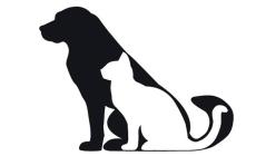 Cosa fare quando muore il tuo animale domestico