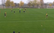 Il Parma a caccia di punti: domenica ecco il Cosenza (con mille tifosi)