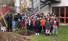 I carabinieri forestali e gli studenti di  11 scuole della provincia mettono a dimora giovani piantine