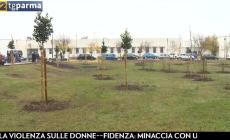  Inaugurato al campus il bosco del Ringraziamento  - Video