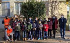 Festa dell'albero: 3 nuove querce leccio nel giardino della scuola di Torrile 