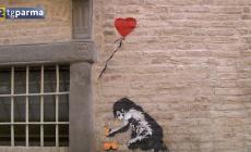 Un'opera di Banksy in centro? Molta curiosità a Parma, parla il proprietario di Palazzo Tarasconi - Video