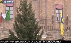 Arrivato in piazza Garibaldi l'albero di Natale. In forse il concertone del 31 dicembre - Video