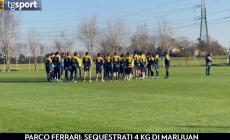 Iachini alle prese con gli infortuni di Coulibaly e Mihaila - Video