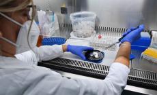 Mutazioni Omicron e reinfezioni, attualmente ci sono un milione  di positivi in Italia