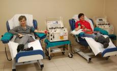 Avis San Pancrazio, millesima donazione