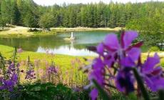 Appennino e sapori al Ventasso