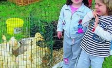 Sissa, festa e benedizione degli animali per la gioia dei bimbi