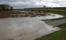 Foto dei lettori - Baganzola "sott'acqua"