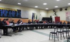 Trecasali - La centrale a biomasse infiamma il Consiglio "ad hoc"