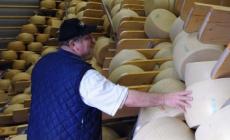 Parmigiano della solidariet&agrave;: vendite a gonfie vele