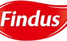 Rischio listeria: ritirati alcuni lotti di minestrone Findus e di verdure Lidl