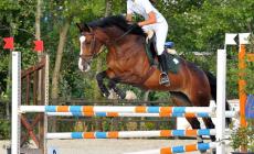 Lucia Alfieri a 18 anni ai vertici dell'equitazione