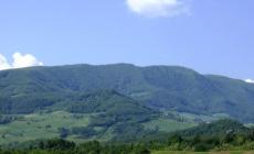 Centrale a biomasse: polemica a Neviano