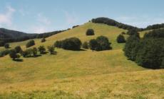 Sentieri - Panorami "sconfinati" tra pascoli e fiori