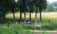 Sissa - Stop alle grigliate nel parco
