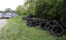 Lesignano, scoperta una discarica abusiva di duecento copertoni