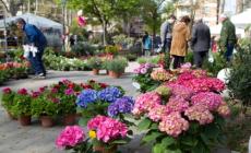 Lubiana in fiore: tante famiglie tra le bancarelle