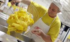 Oltre 1300 parmigiani onorano la regina "gialla"