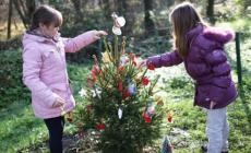 Un albero di Natale per ricordare Tommy in via del Traglione